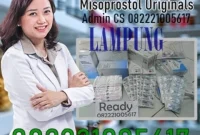 Jual Obat Aborsi Lampung