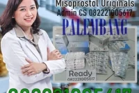 Jual Obat Aborsi Palembang